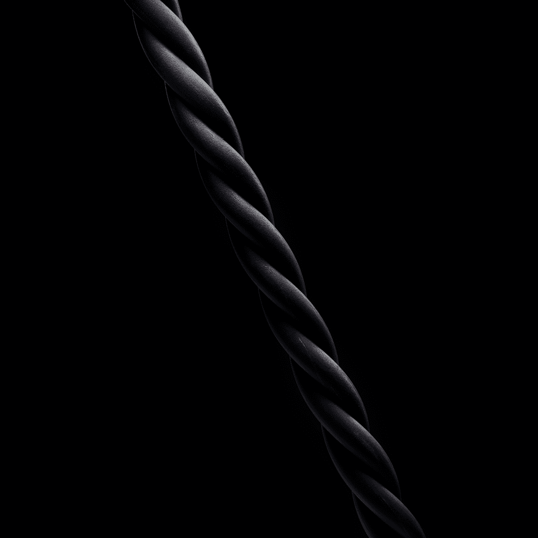 See Encrypted Traffic